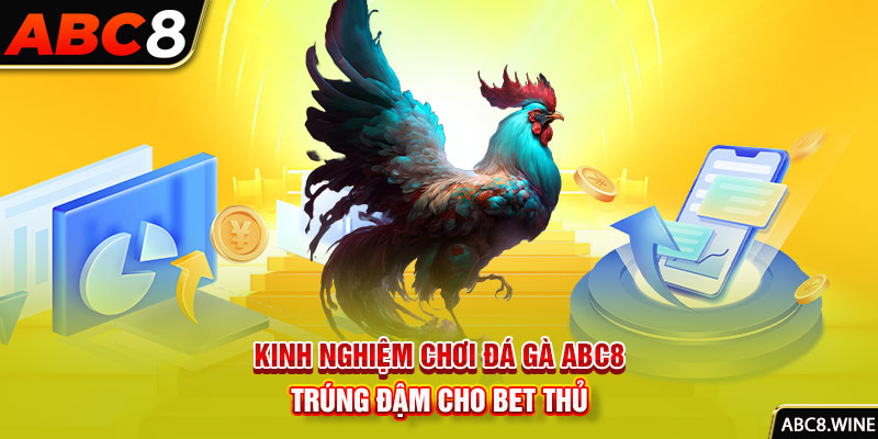 Kinh nghiệm chơi đá gà ABC8 trúng đậm cho bet thủ